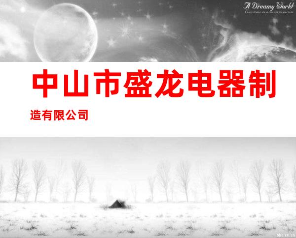 中山市盛龙电器制造有限公司